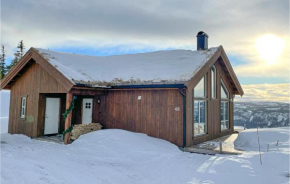 3 Bedroom Stunning Home In Aurdal